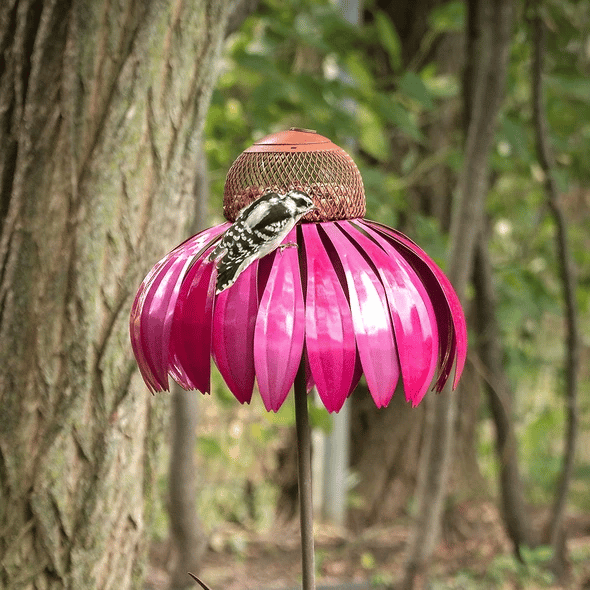 Sensation Pink Coneflower Bird Feeder