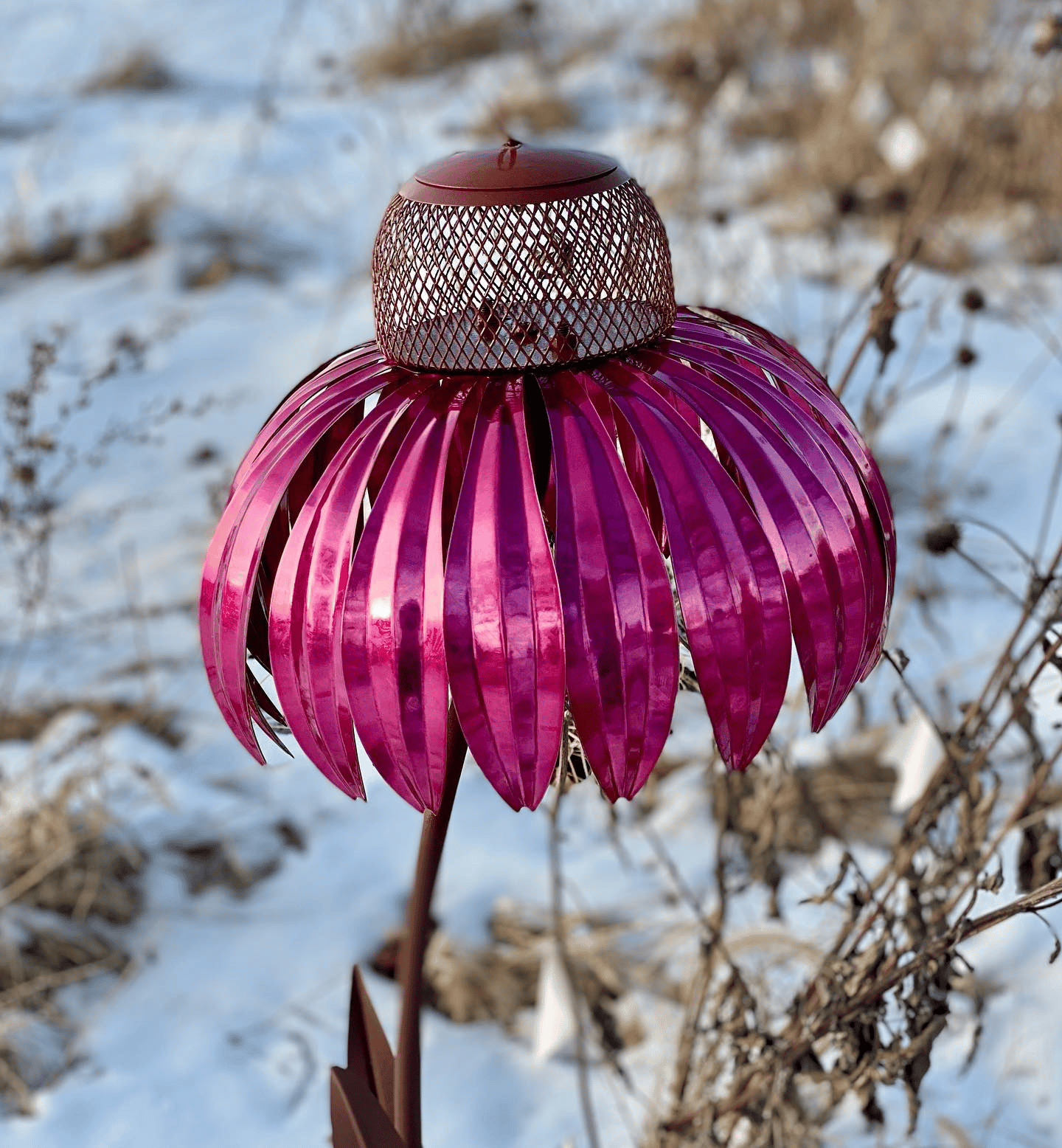 Sensation Pink Coneflower Bird Feeder