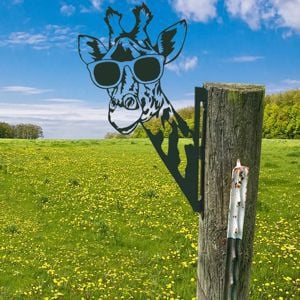 🔥LAST DAY 70% OFF🎁Peeping Metal Wall Decor Farm Wall Decor Outdoor Garden