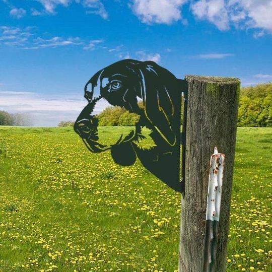 🔥LAST DAY 70% OFF🎁Peeping Metal Wall Decor Farm Wall Decor Outdoor Garden
