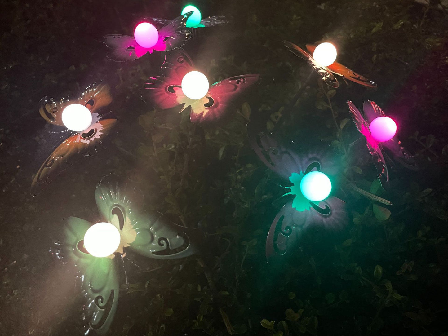 Last Day 70% OFF - 🔥 Waterproof Solar Powered Metal Butterflies Starburst Swaying Lights
