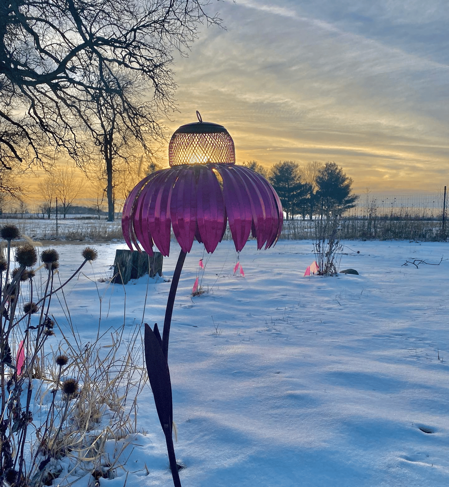 Sensation Pink Coneflower Bird Feeder
