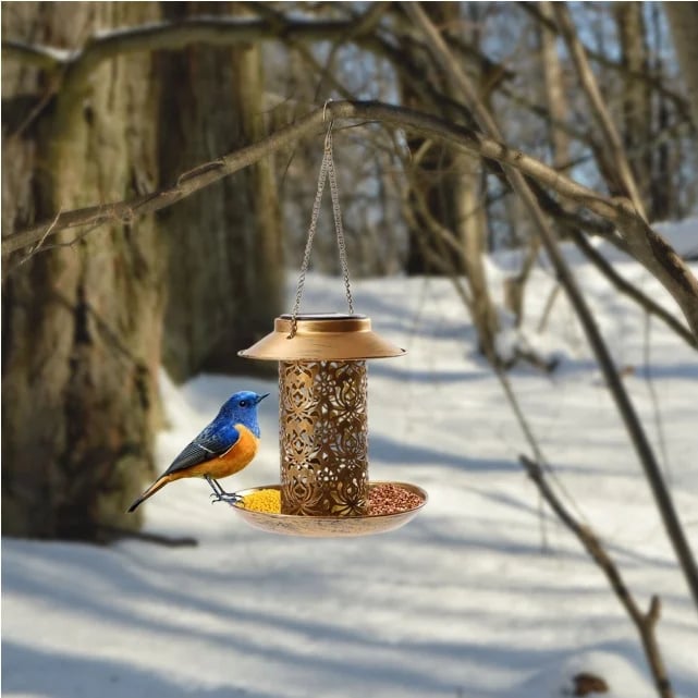 🔥Last day promotion-70% off-Stock Preferred Solar Garden Lantern Bird Feeder w/ Light in Iron Brass Color