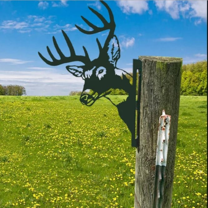 🔥LAST DAY 70% OFF🎁Peeping Metal Wall Decor Farm Wall Decor Outdoor Garden