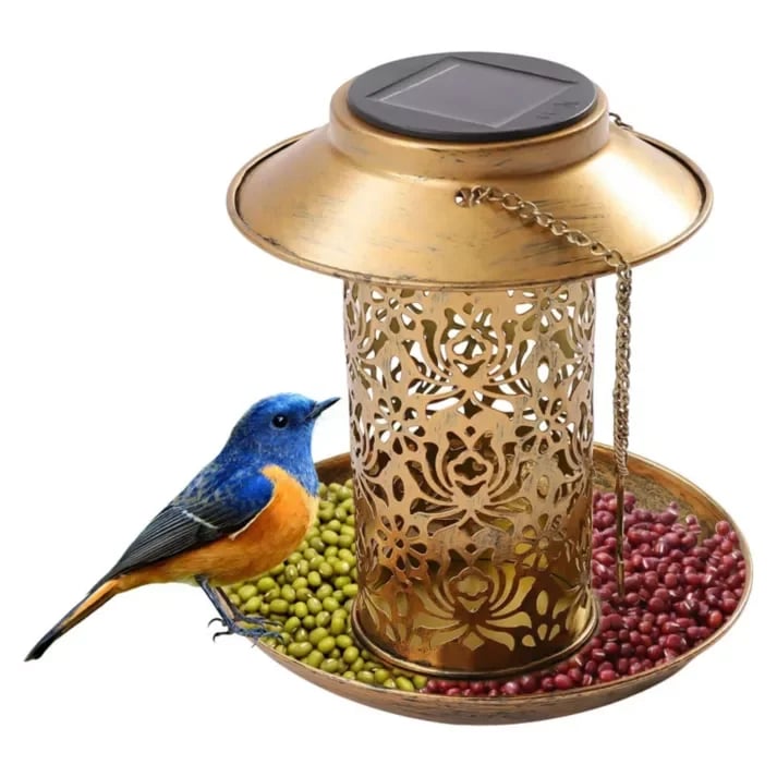 🔥Last day promotion-70% off-Stock Preferred Solar Garden Lantern Bird Feeder w/ Light in Iron Brass Color